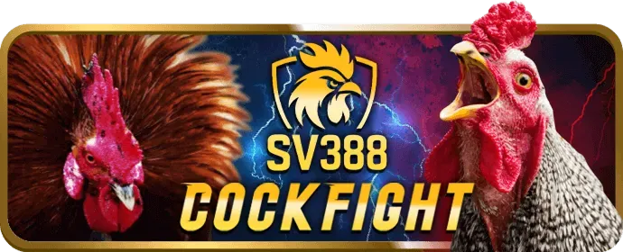 Hình ảnh thể hiện các biện pháp bảo mật tài khoản Bet365
